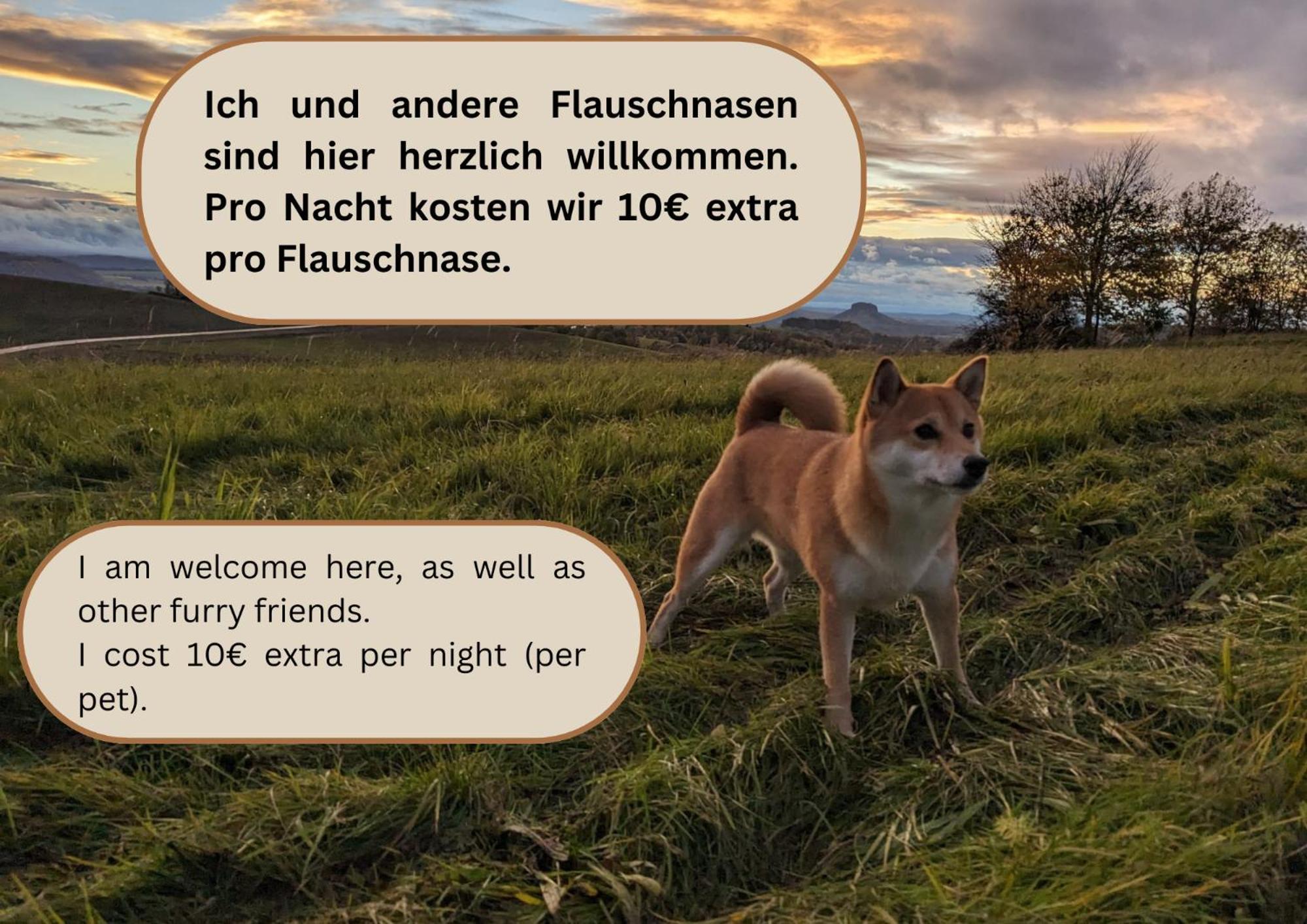 W2 - Urlaubsmagie - Im Herzen Des Elbsandsteingebirges Sebnitz Ngoại thất bức ảnh